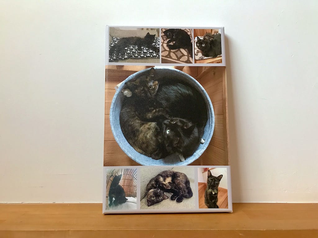 印刷通販徹底比較 ブラウザ上で編集できる アドプリントのキャンバスプリントを作ってみた